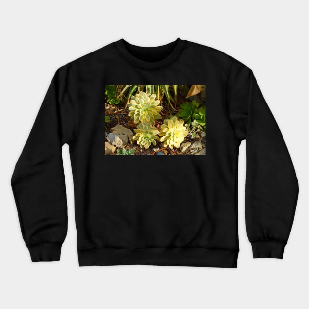 Succulent Blooms Crewneck Sweatshirt by bobmeyers